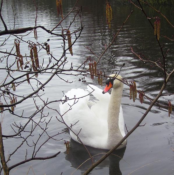 Winterwandeling-Kiewit (19).jpg